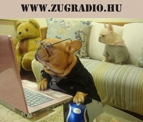 Póráz laptop PÓRÁZ