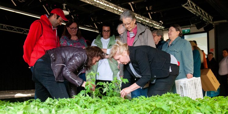 2023-05-18-Sokacz-Aniko-kepviselo-es-a-Bolgar-Nemzetisegi-Onkormanyzat-paradicsom-palantakat-ad-at-_BRP4348-750×375 Csaknem húsz szervezet kapott Rózsaszín mágiát