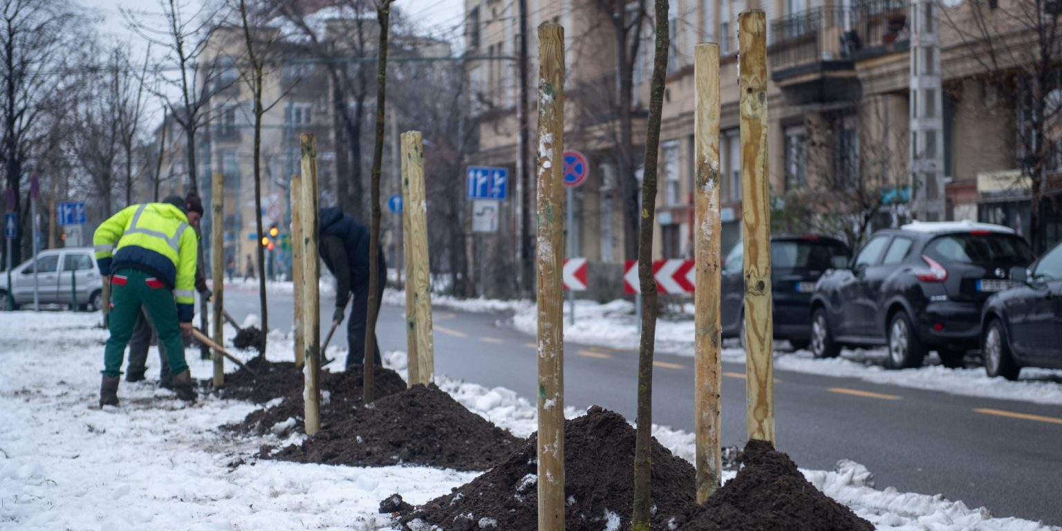 Fasor létesült a Róna utcában