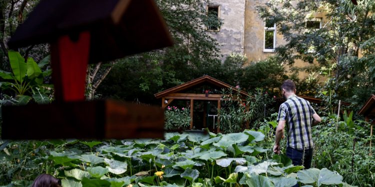 Belső kertek zöldítésére nyílt pályázati lehetőség