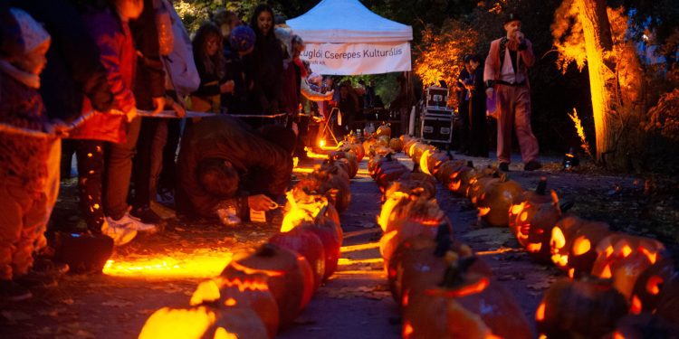 Halloween az Újvidék téren