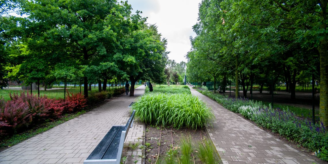Pillango-park_BRP7753-1140×570 Hogyan őrizhetők meg és fejleszthetők Zugló fasorai?
